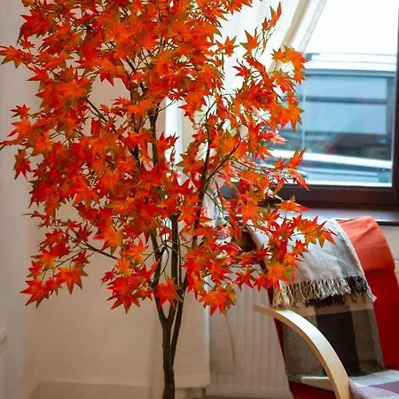 Old Town * Μπρασόβ