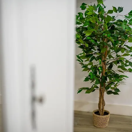 Διαμέρισμα Old Town *