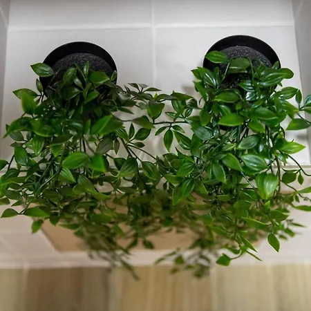 Διαμέρισμα Old Town *