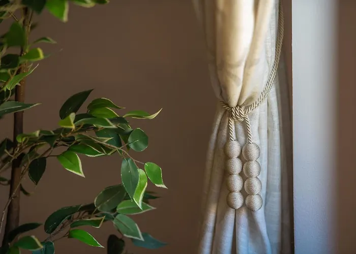 Old Town * ブラショフ