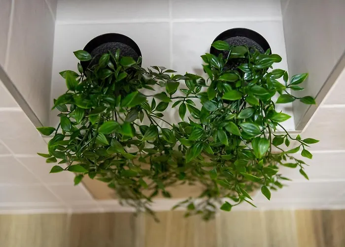 Apartment Old Town *